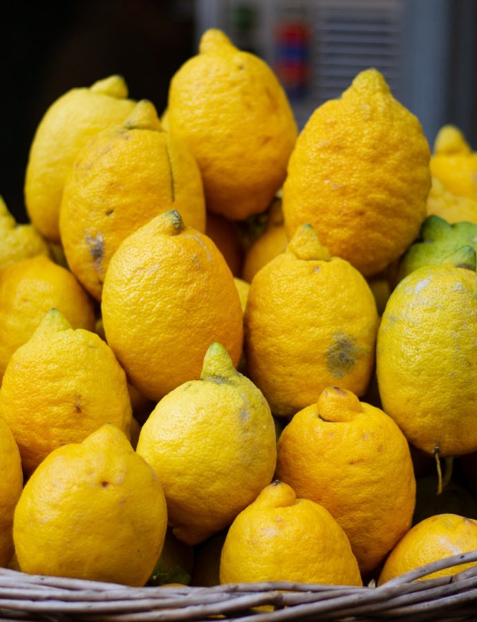 Lemon Posset mit Cedro Zitronen 